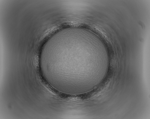 X0000111900689200908101141