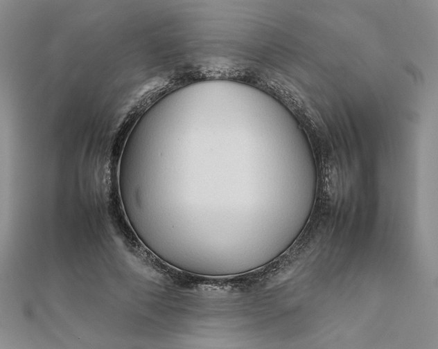 X0000111900690200908101141