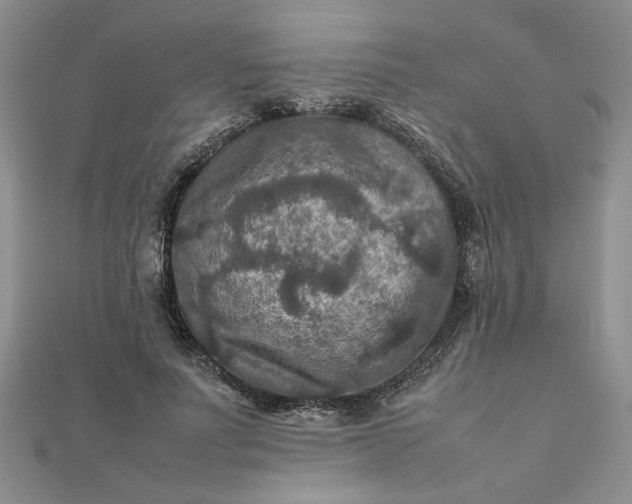 X0000111900691200908101140