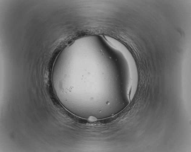 X0000111900693200908101140