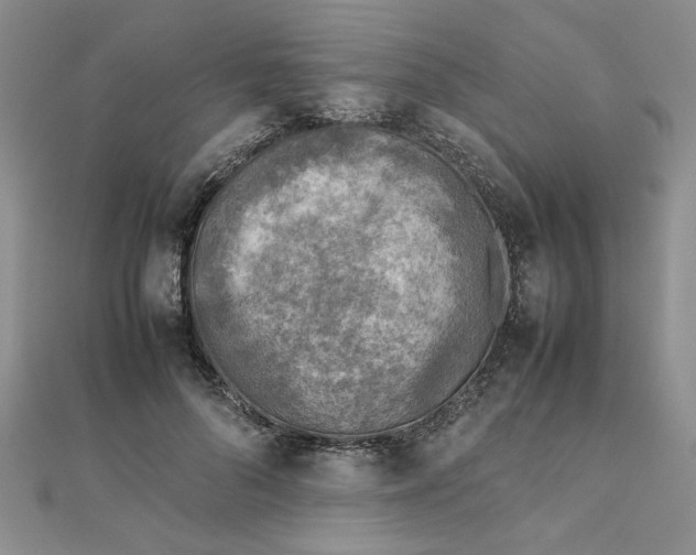 X0000111900696200908101140