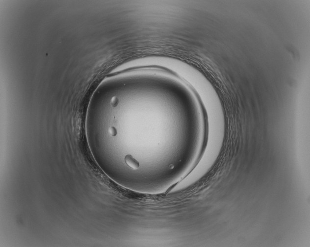 X0000111900697200908101140