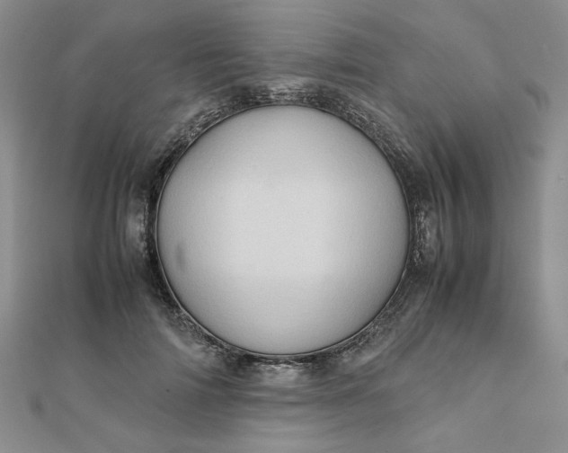 X0000111900698200908101140