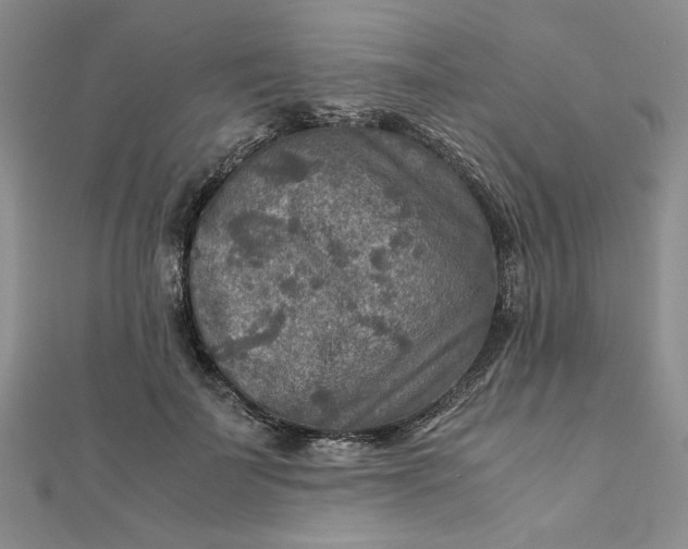 X0000111900699200908101140