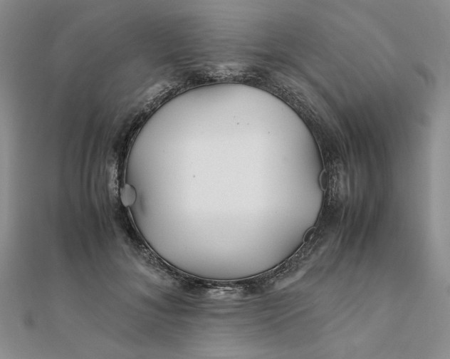 X0000111900700200908101140