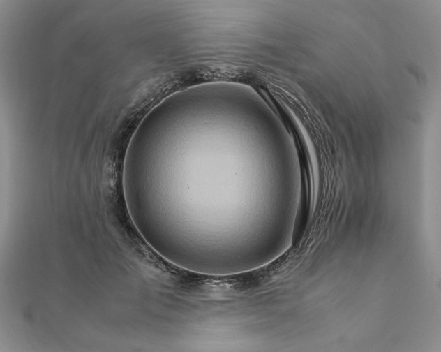 X0000111900701200908101140