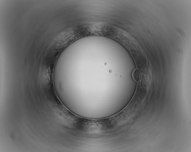 X0000111900702200908101140