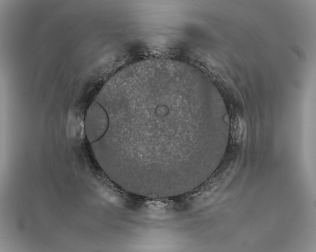 X0000111900703200908101140