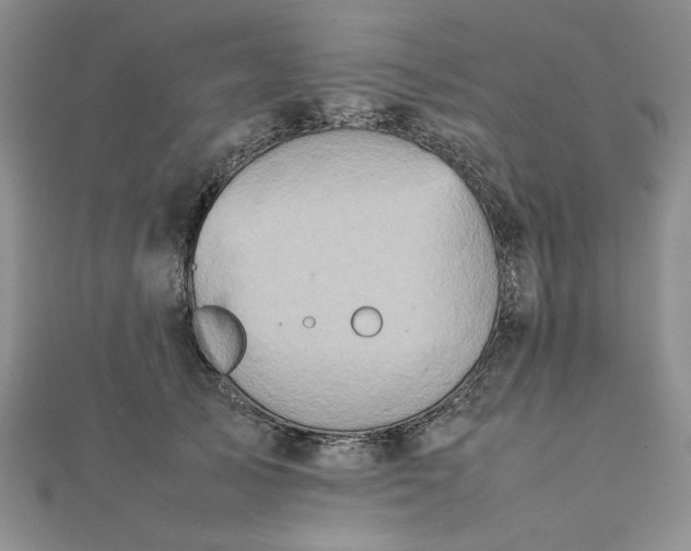 X0000111900705200908101140