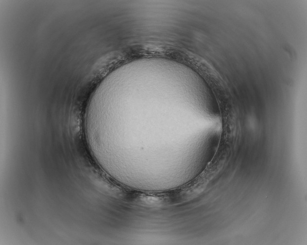 X0000111900706200908101140