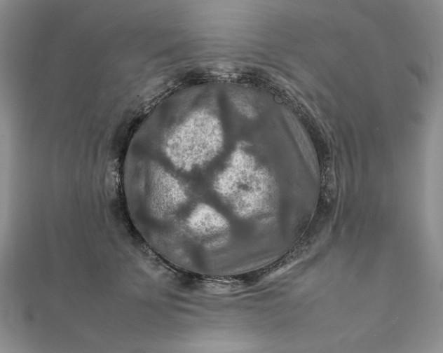 X0000111900707200908101140