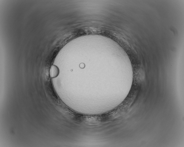 X0000111900709200908101140