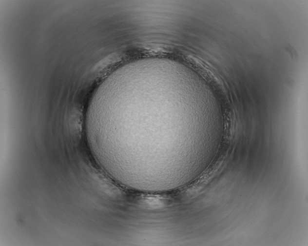 X0000111900710200908101140