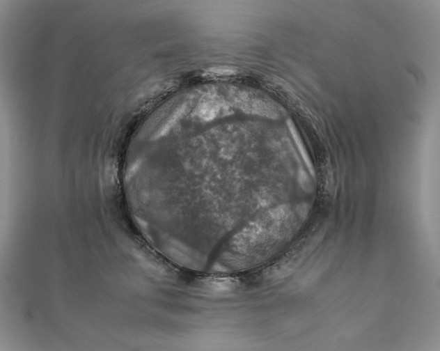 X0000111900711200908101140