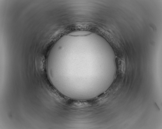 X0000111900712200908101140