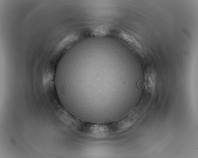 X0000111900714200908101140