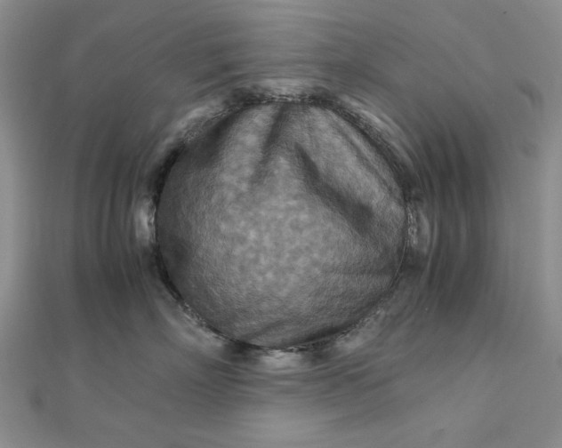 X0000111900718200908101140