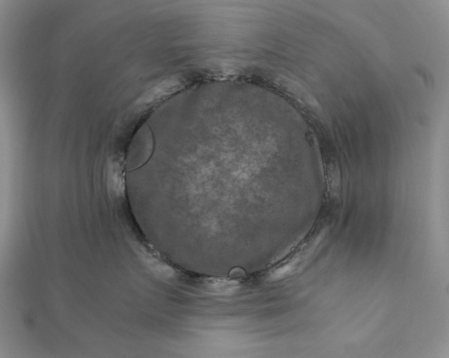 X0000111900719200908101140