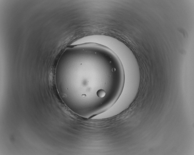 X0000111900720200908101140