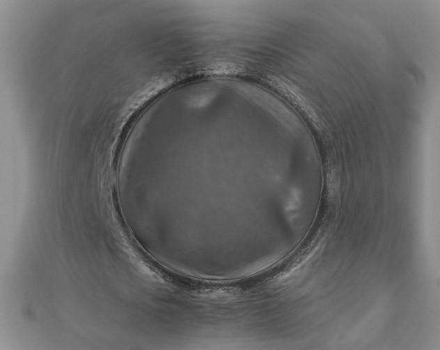 X0000111900721200908101139