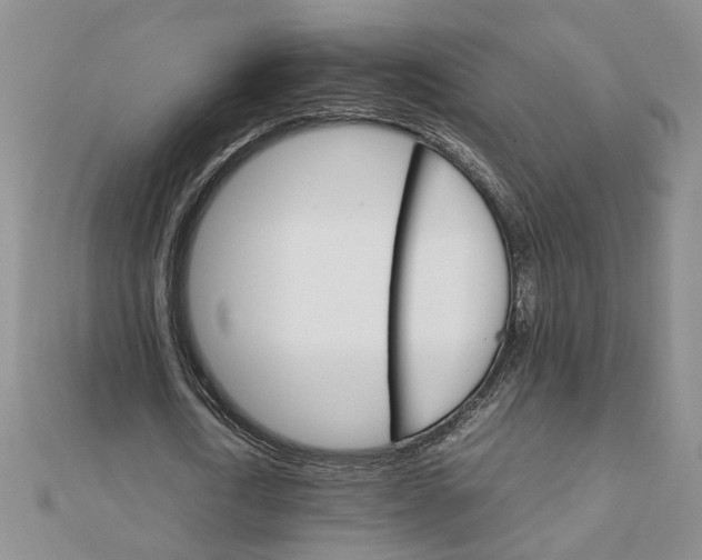 X0000111900722200908101139