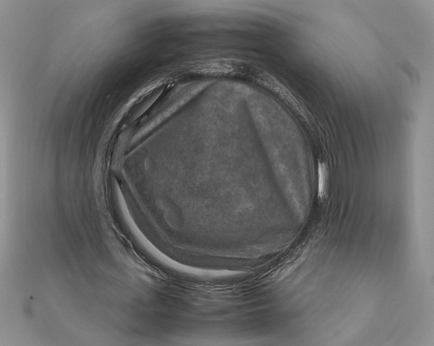 X0000111900723200908101139