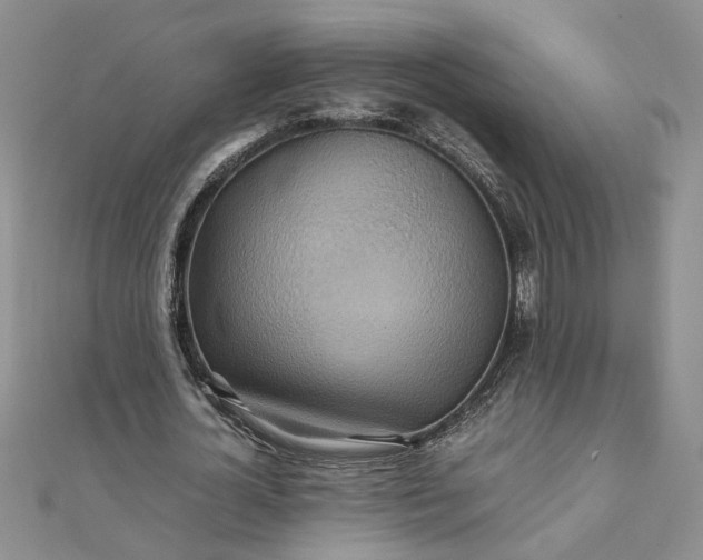 X0000111900724200908101139