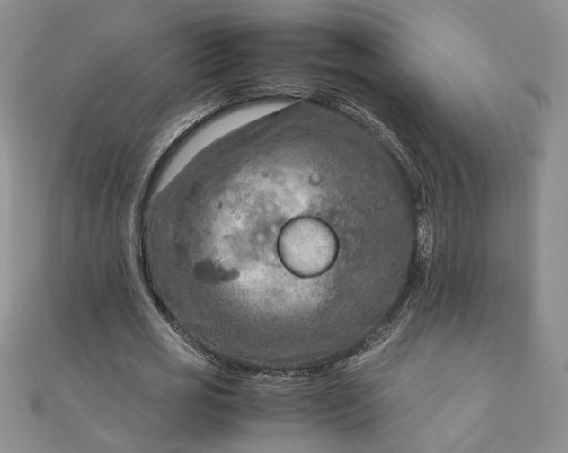 X0000111900725200908101139