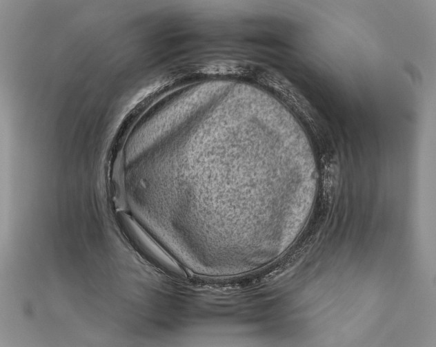 X0000111900727200908101139