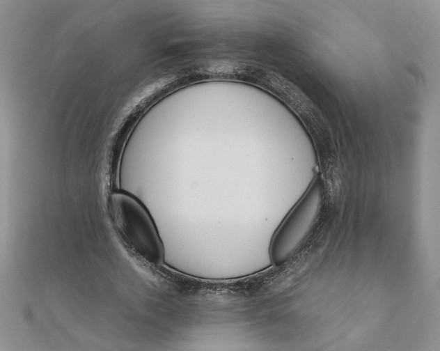 X0000111900728200908101139