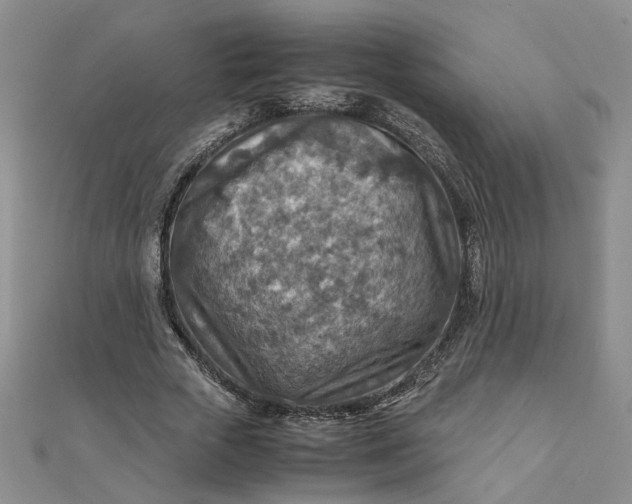 X0000111900729200908101139