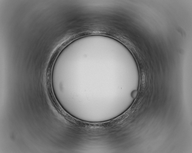 X0000111900730200908101139