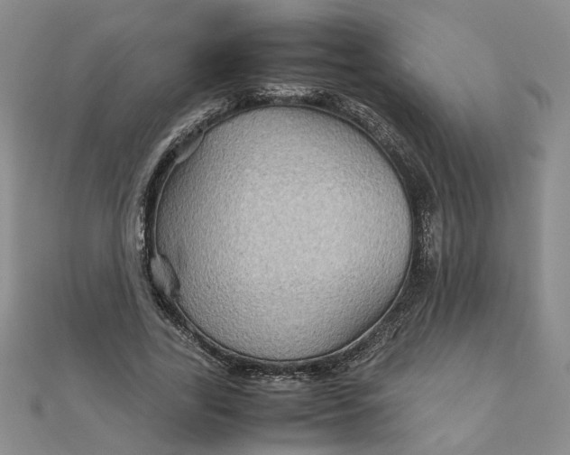 X0000111900731200908101139