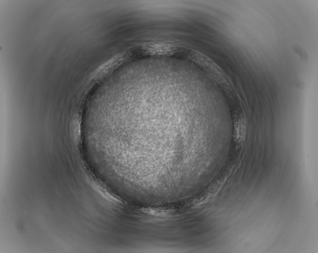 X0000111900733200908101139