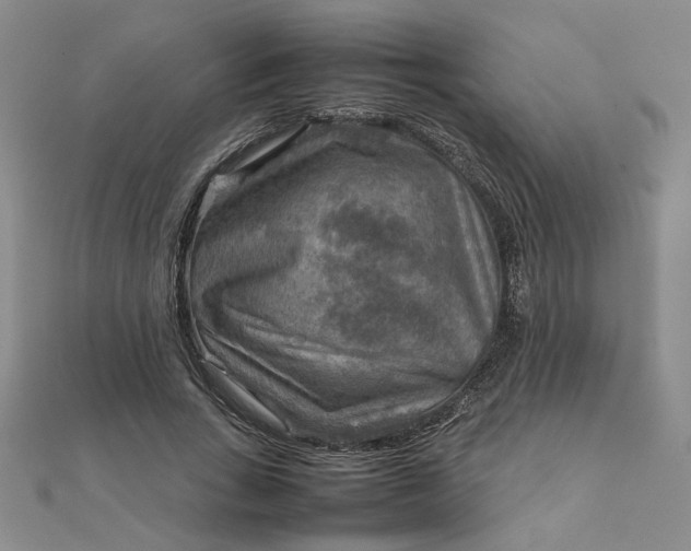 X0000111900735200908101140