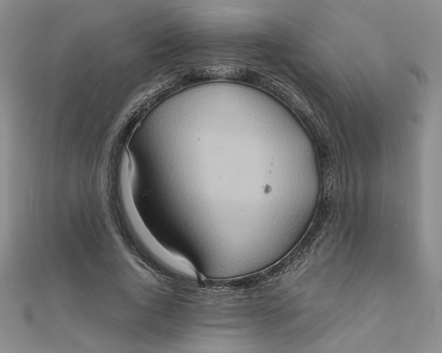 X0000111900736200908101140