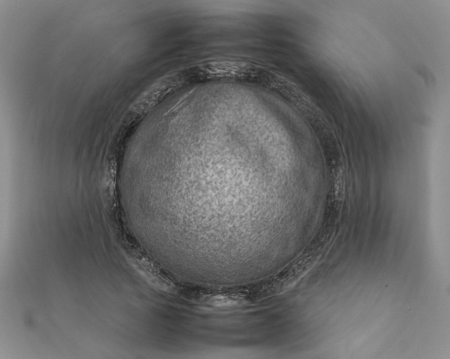 X0000111900737200908101140