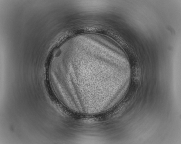 X0000111900738200908101140