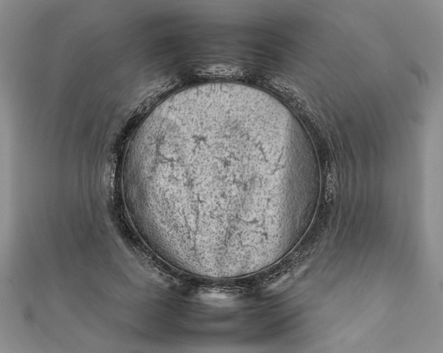 X0000111900739200908101140