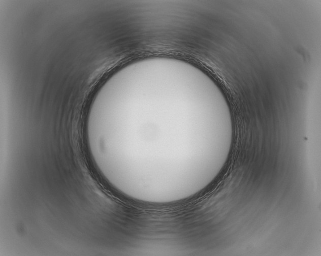 X0000111900740200908101140