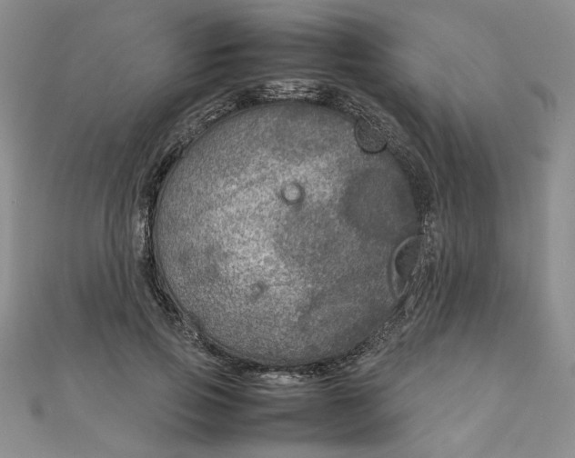 X0000111900741200908101140