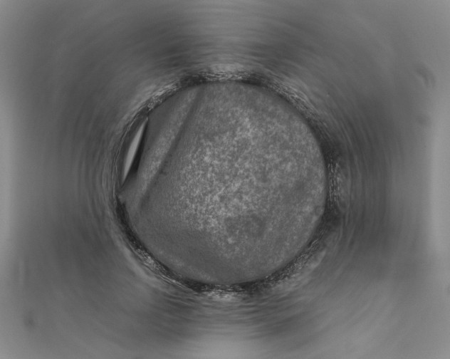 X0000111900742200908101140