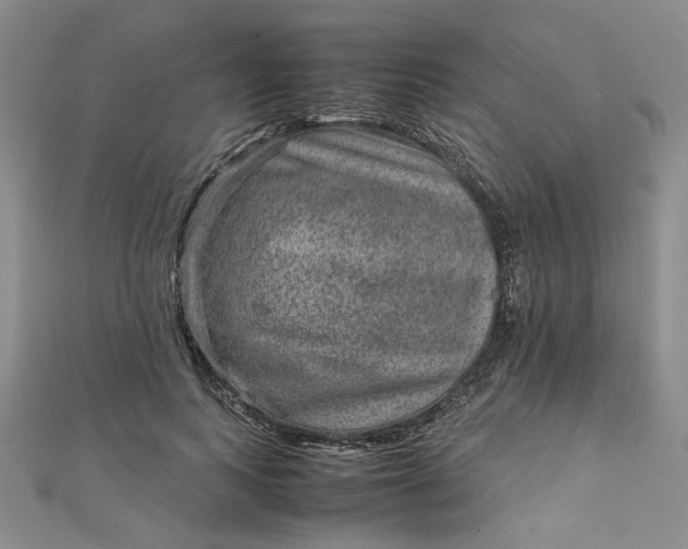 X0000111900743200908101140