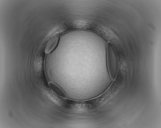 X0000111900744200908101140