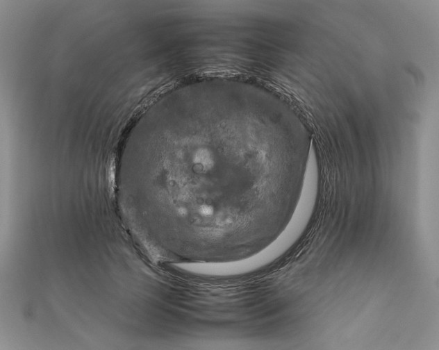 X0000111900745200908101140