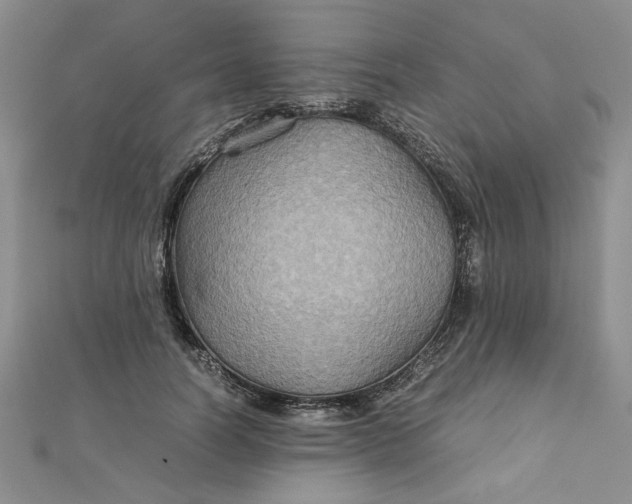 X0000111900746200908101140