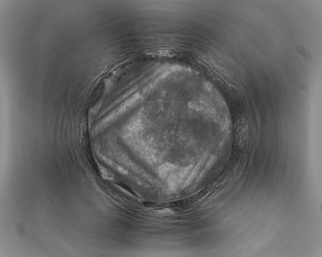 X0000111900747200908101140