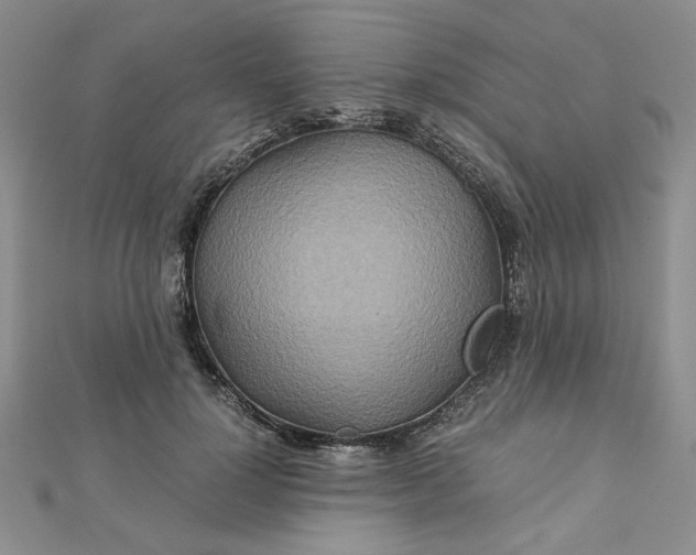 X0000111900748200908101140