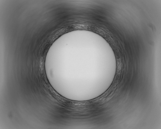 X0000111900749200908101140