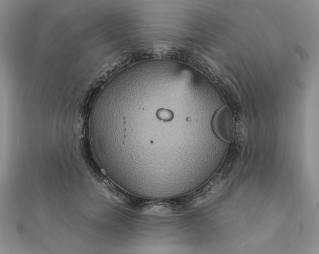 X0000111900750200908101140